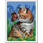 Pictura Pe Numere - Pisicuta Si Fluturas Ravensburger - 1